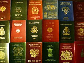 safara mplgroup wizy pasporta stran mira