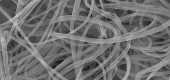 Новая методика синтеза полимерного нановолокна
