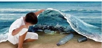 ООН: Биоразлагаемые пластики не спасают экологию мирового океана