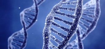 ДНК 1 клетки человека вмещает 1,5 гигабайта информации – лучший винчестер на планете