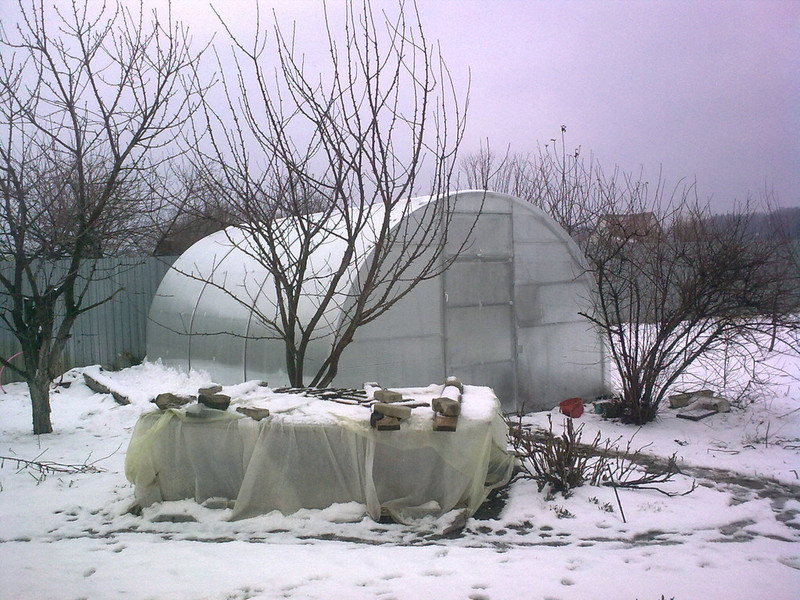 Поликарбонат в строительстве зимних теплиц
