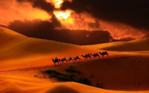 Великая китайская пустыня