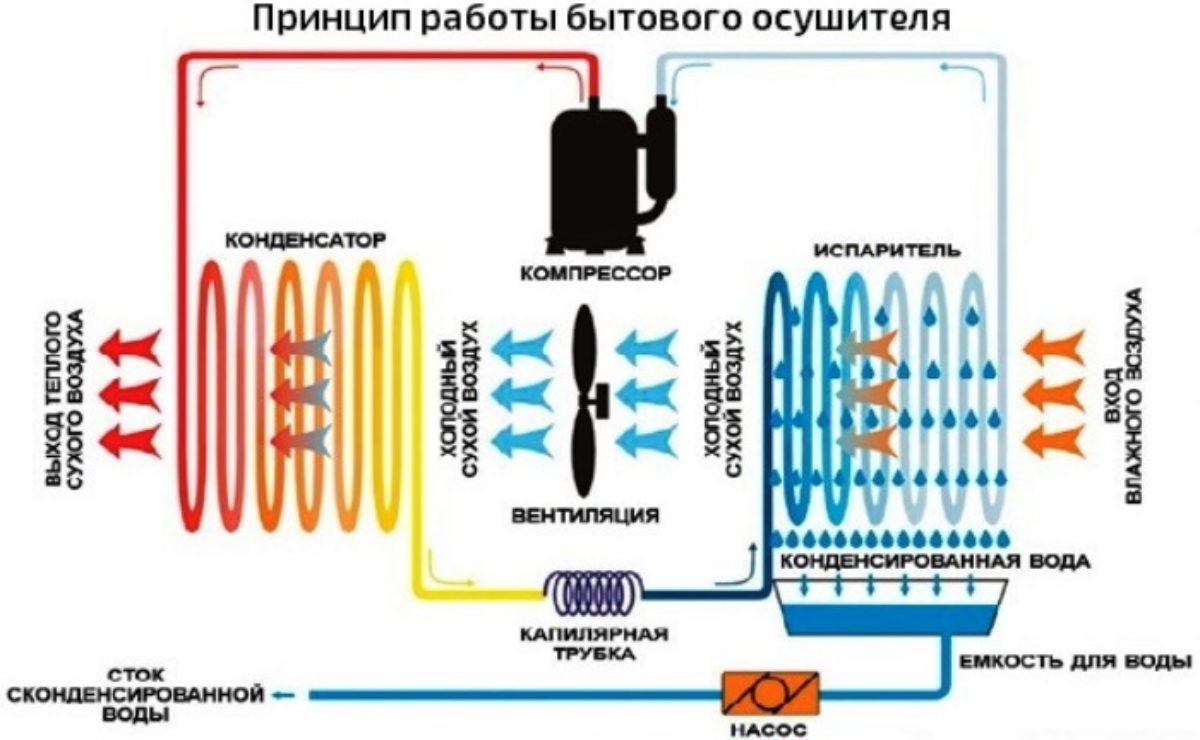 Как осушить воздух в квартире