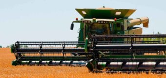 Растениеводство как проект: семена, агрохимия и современные подходы к развитию агросектора