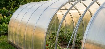 Выбор поликарбонатной теплицы для дачи: основные критерии каркаса и покрытия