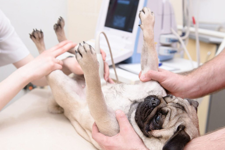 В мире современных материалов и химических технологий мы привыкли оперировать такими понятиями, как прочность полимеров, устойчивость композитов или вязкость нефтепродуктов. Однако производственные процессы и контроль качества на предприятиях нефтегазового и химического комплекса невозможны без мониторинга физических параметров оборудования и сред.