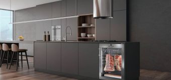 Что такое сухое вызревание мяса и зачем нужен специальный шкаф